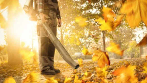 Essential garden tools to tackle Autumn 2021 Image