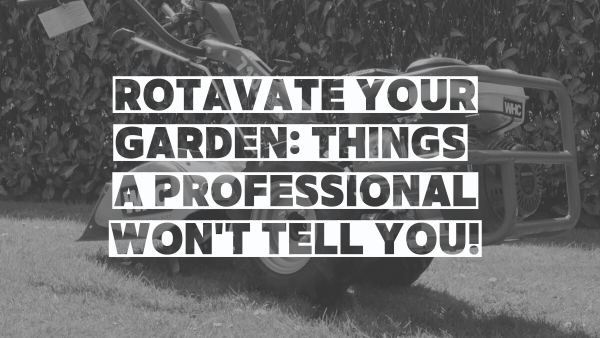 Rotavate Your Garden: Things A Professional Won’t Tell You. Image