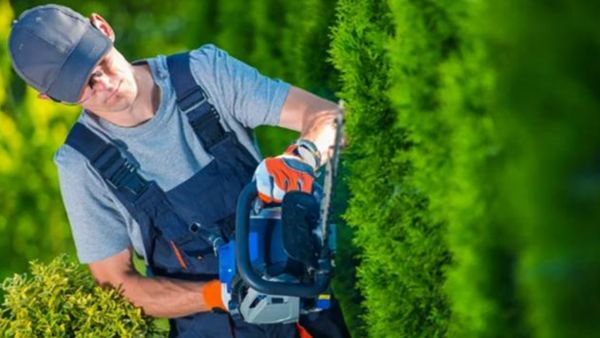 How much do hedge cutter cost to hire WHC Hire Services
