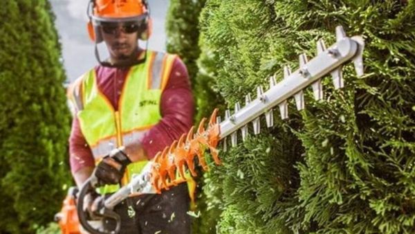 Things to consider when hiring hedge trimmers