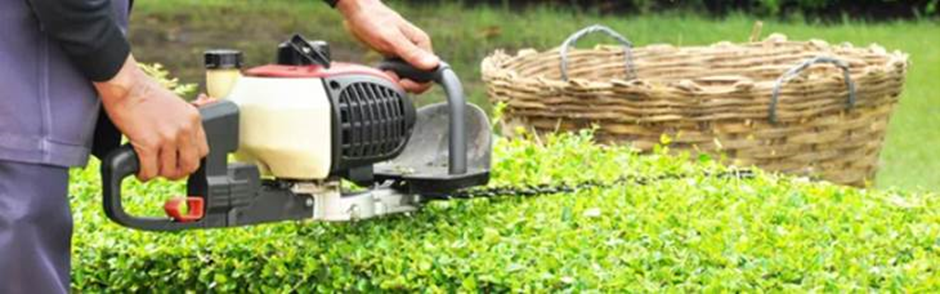 Hedge trimmer hire for bushes