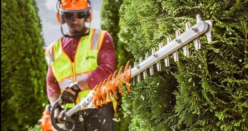 Hedge trimmer hire tips
