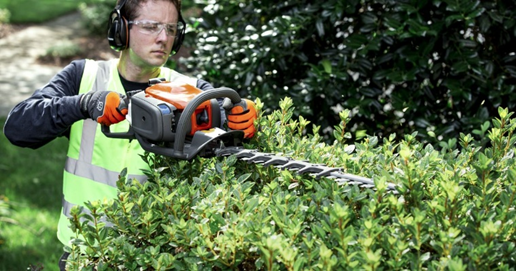 Tools and equipment for autumn hedge trimming