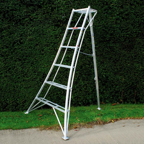 ladders for hedge trimming