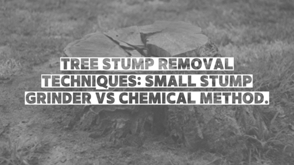 Small tree stump grinder vs chemical method