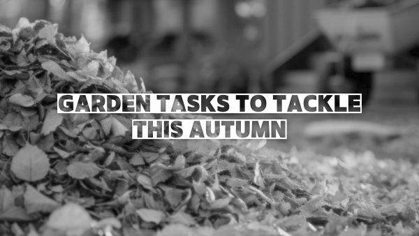 Garden Tasks To Tackle This Autumn Image