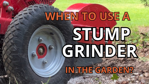 When Should You Use a Stump Grinder in the Garden? Image