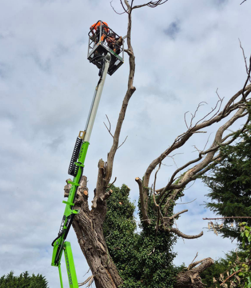 What Is Powered Access WHC Hire