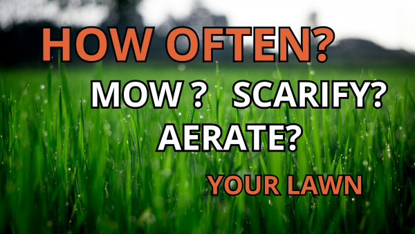How Often Should You Mow, Scarify, or Aerate Your Lawn? Image